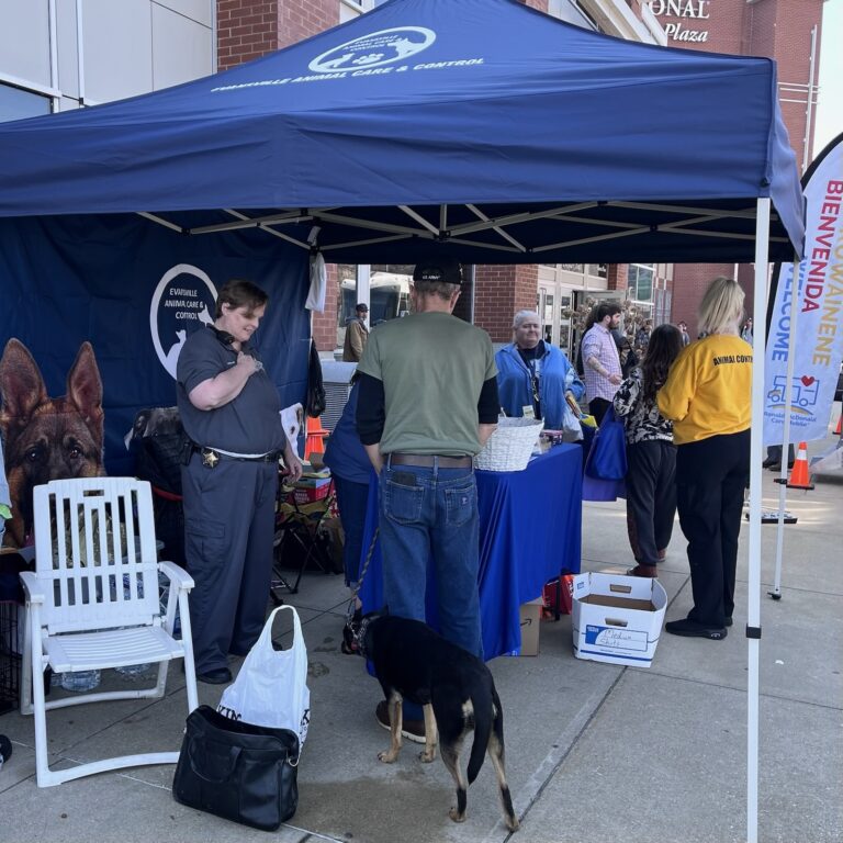 2026 homeless connect animal care